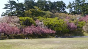 994805_392423120870604_182263621_n